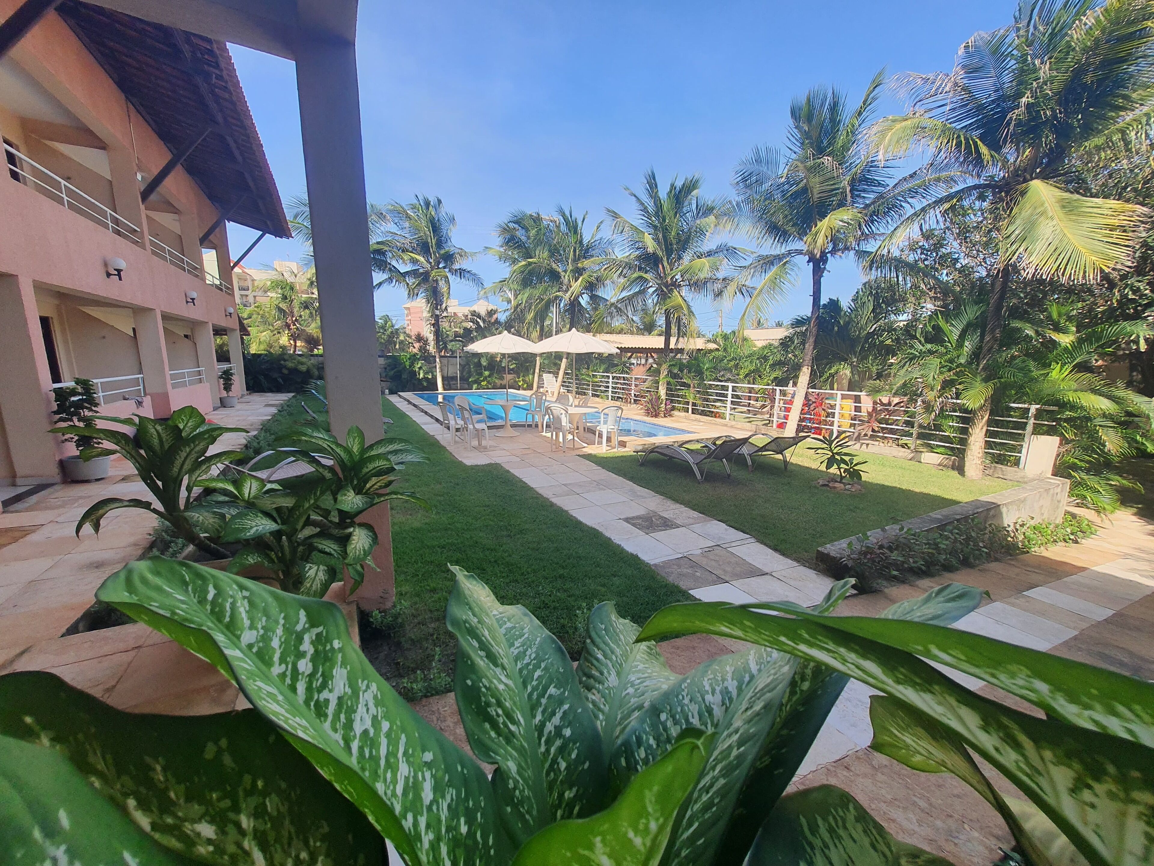 A pool area with lounge chairs and umbrellas, surrounded by palm trees and a building with balconies.