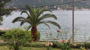 A palm tree and flowers by a lake with a view of buildings in the background. - Apartments Miramar (Kotor)