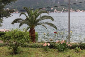 On the beach - Apartments Miramar (Kotor)