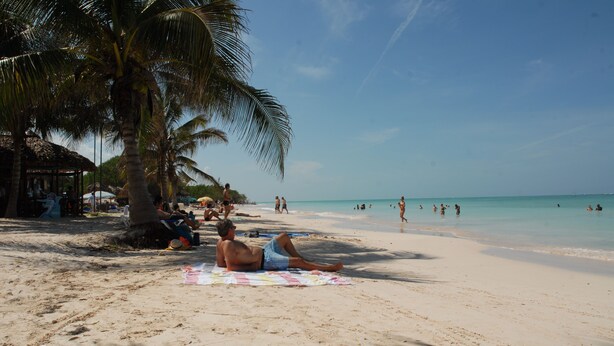 Een strand met palmbomen, een hutje en mensen die ontspannen op het zand.