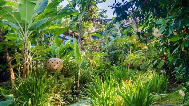 Een weelderige tuin met verschillende planten en een decoratieve bol.
