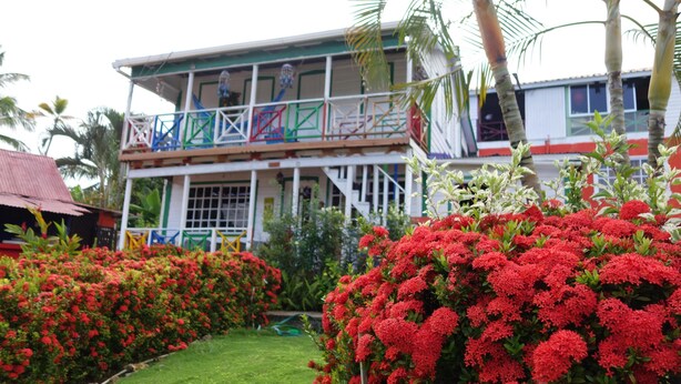 A two-story building with a balcony, surrounded by lush greenery and red flowers. - Posada Nativa Licy (San Andrés)