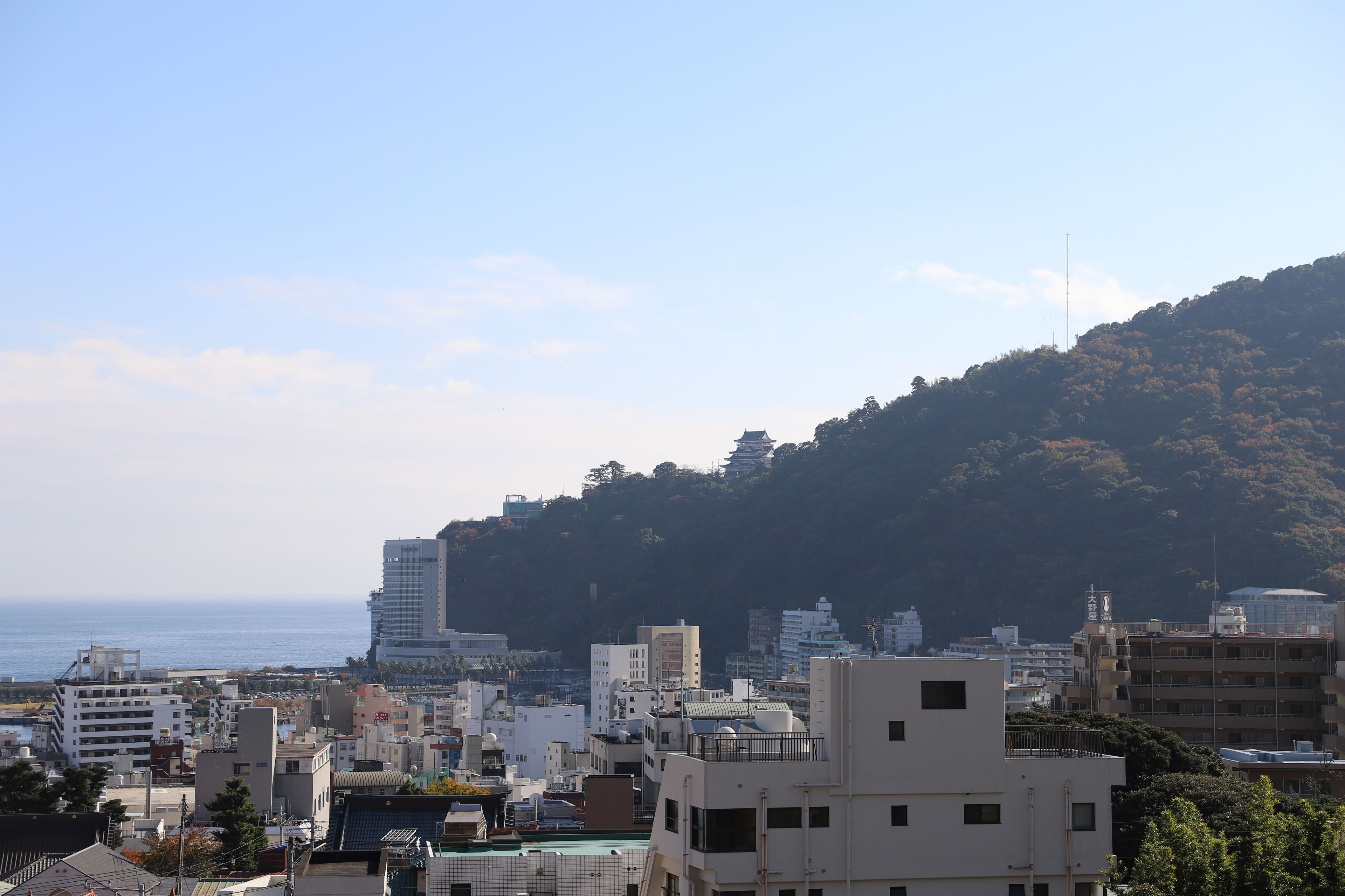 A coastal cityscape with buildings, a hill with trees, and a clear sky.