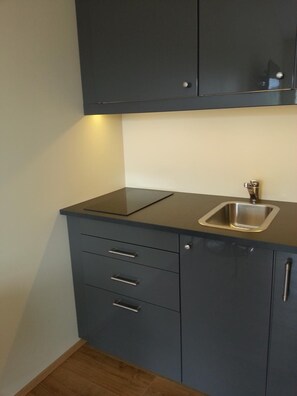 Grand réfrigérateur, micro-ondes, plaque de cuisson