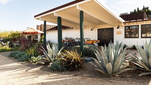 Ein modernes Gebäude mit überdachter Terrasse, umgeben von Pflanzen und Kakteen.