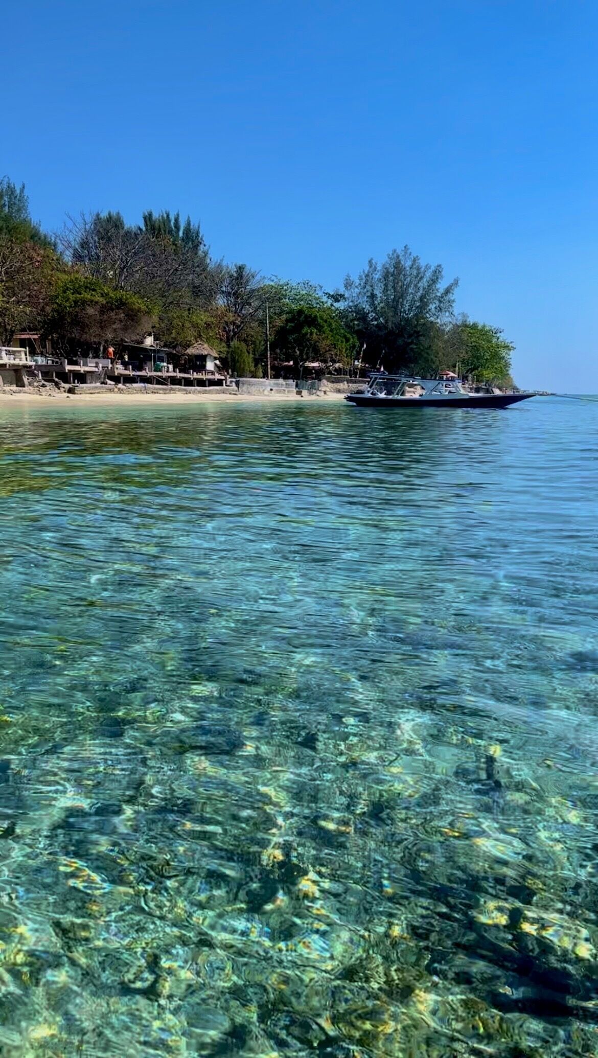 Ein freier Blick auf einen Strand mit einem am Ufer vertäuten Boot, umgeben von Bäumen und blauem Himmel.