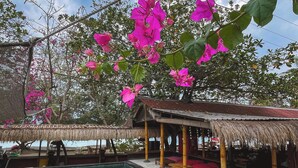 A pool area with a thatched-roof structure, surrounded by lush greenery and vibrant pink flowers.