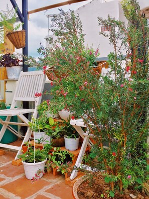 Exterior - Birdnests Hotel (Nha Trang)