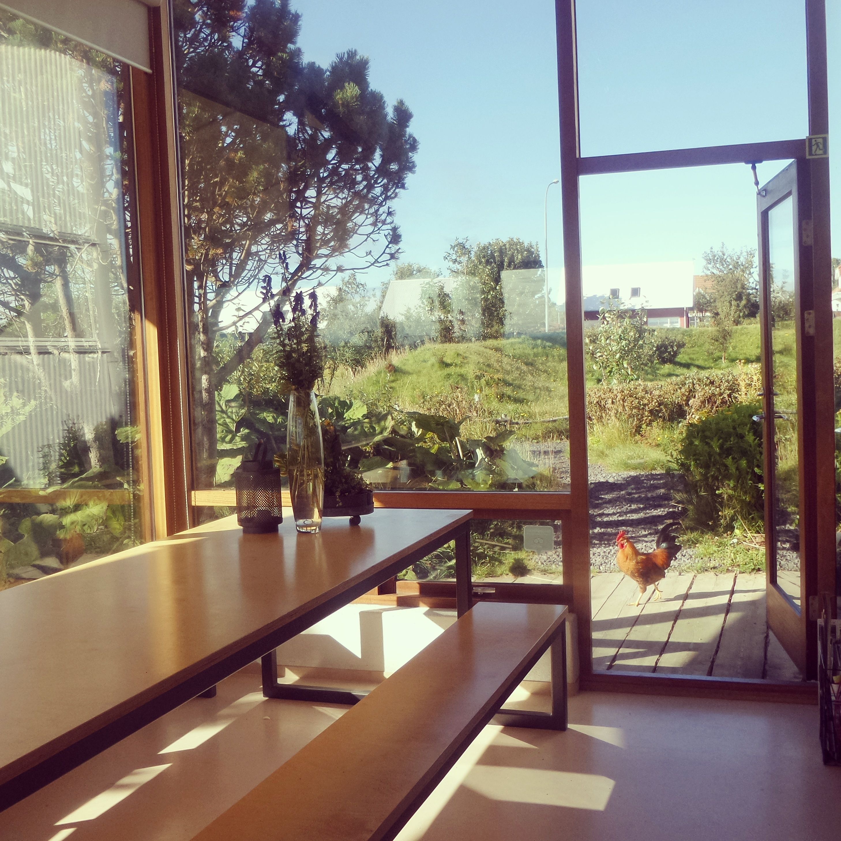 Reception