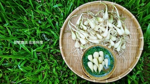 用餐區