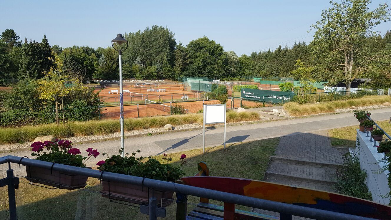 Ein Tennisplatz mit Netz, umgeben von Bäumen und einer Straße.