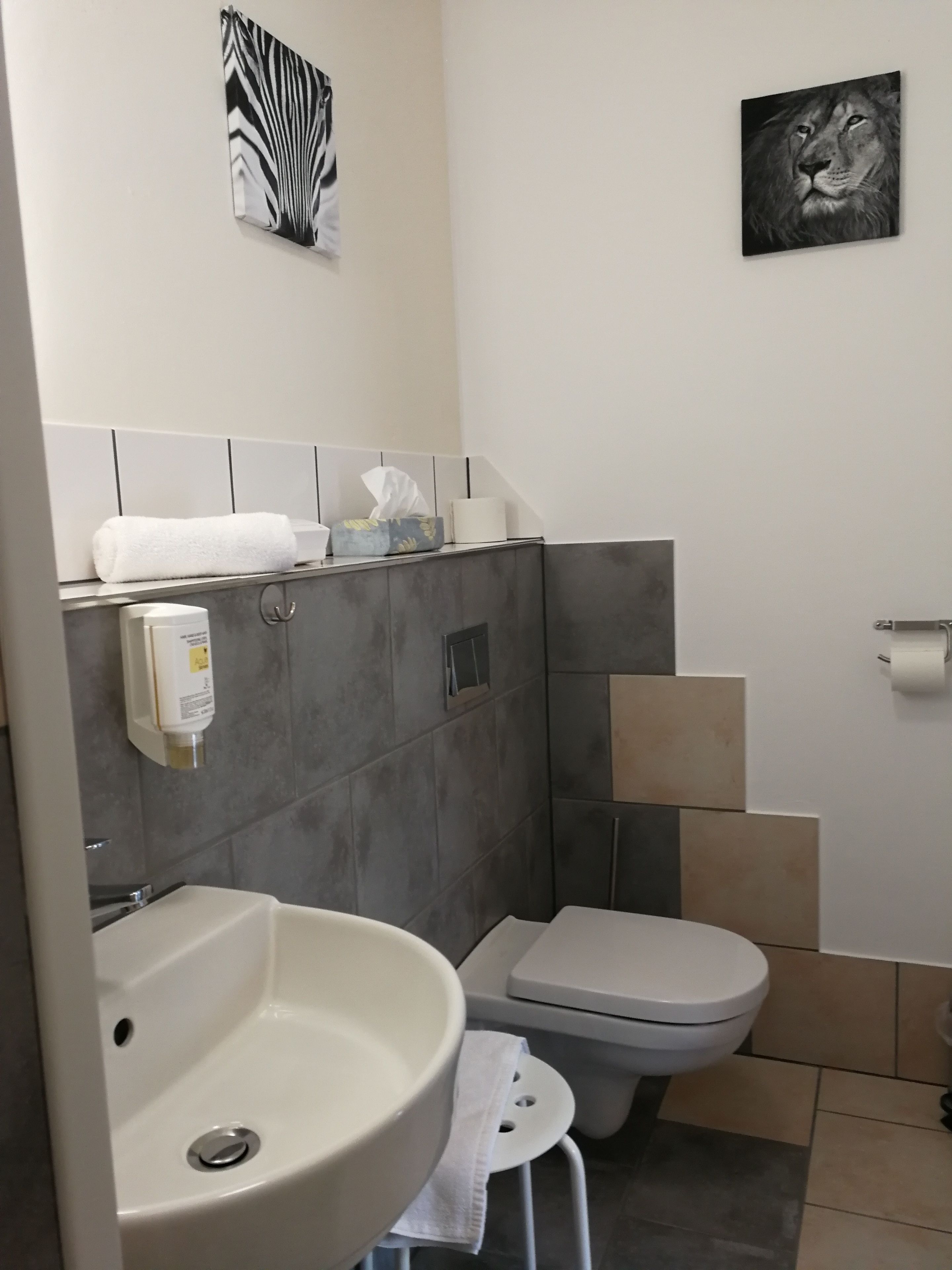 Een moderne badkamer met een wastafel, toilet en handdoekhouder. Twee ingelijste foto's hangen aan de muur.
