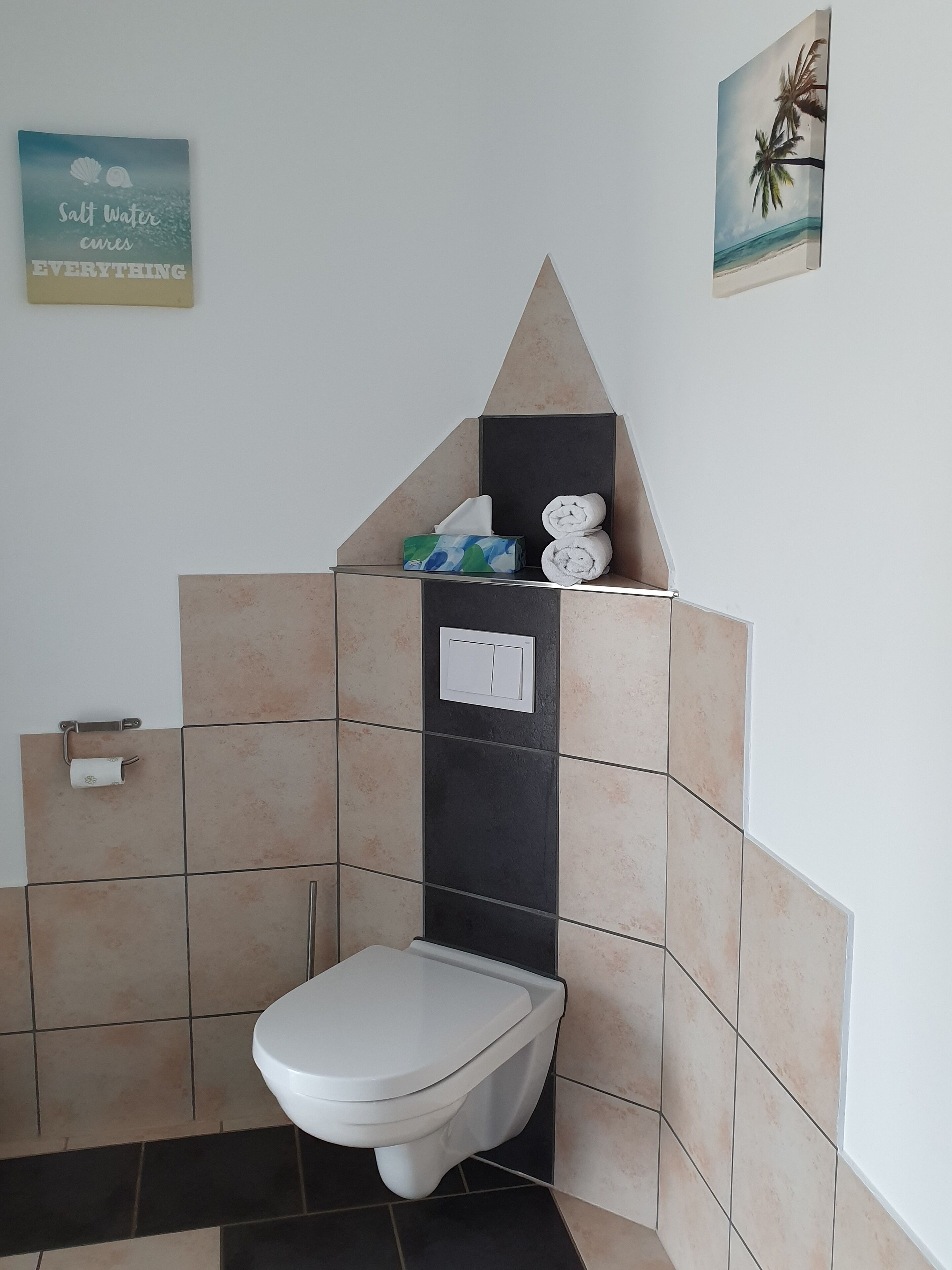 A bathroom with a toilet, a towel rack, a tissue box, and a saltwater cure sign.