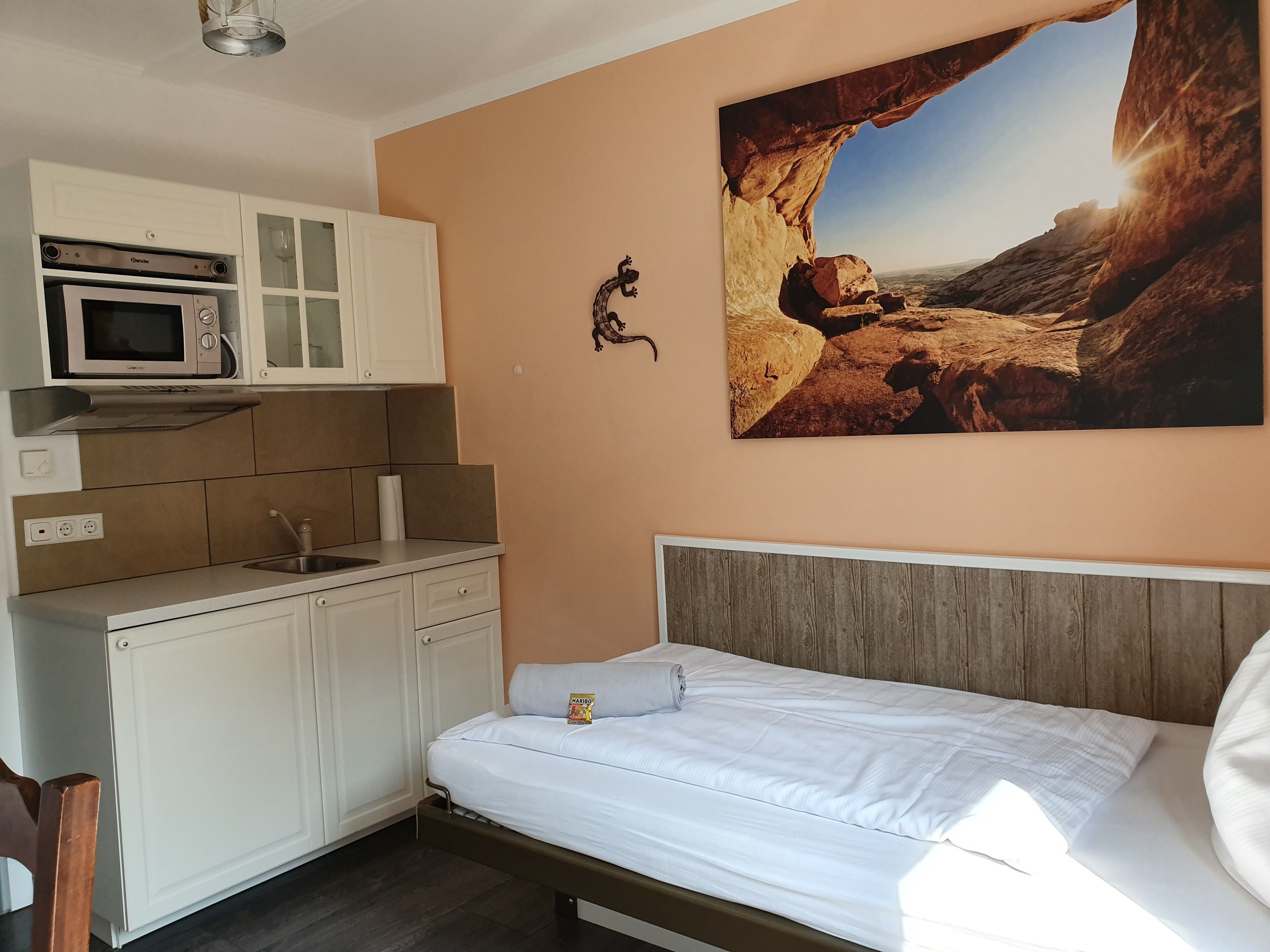 Quarto com cama, quadro de formação rochosa, micro-ondas e pia.
