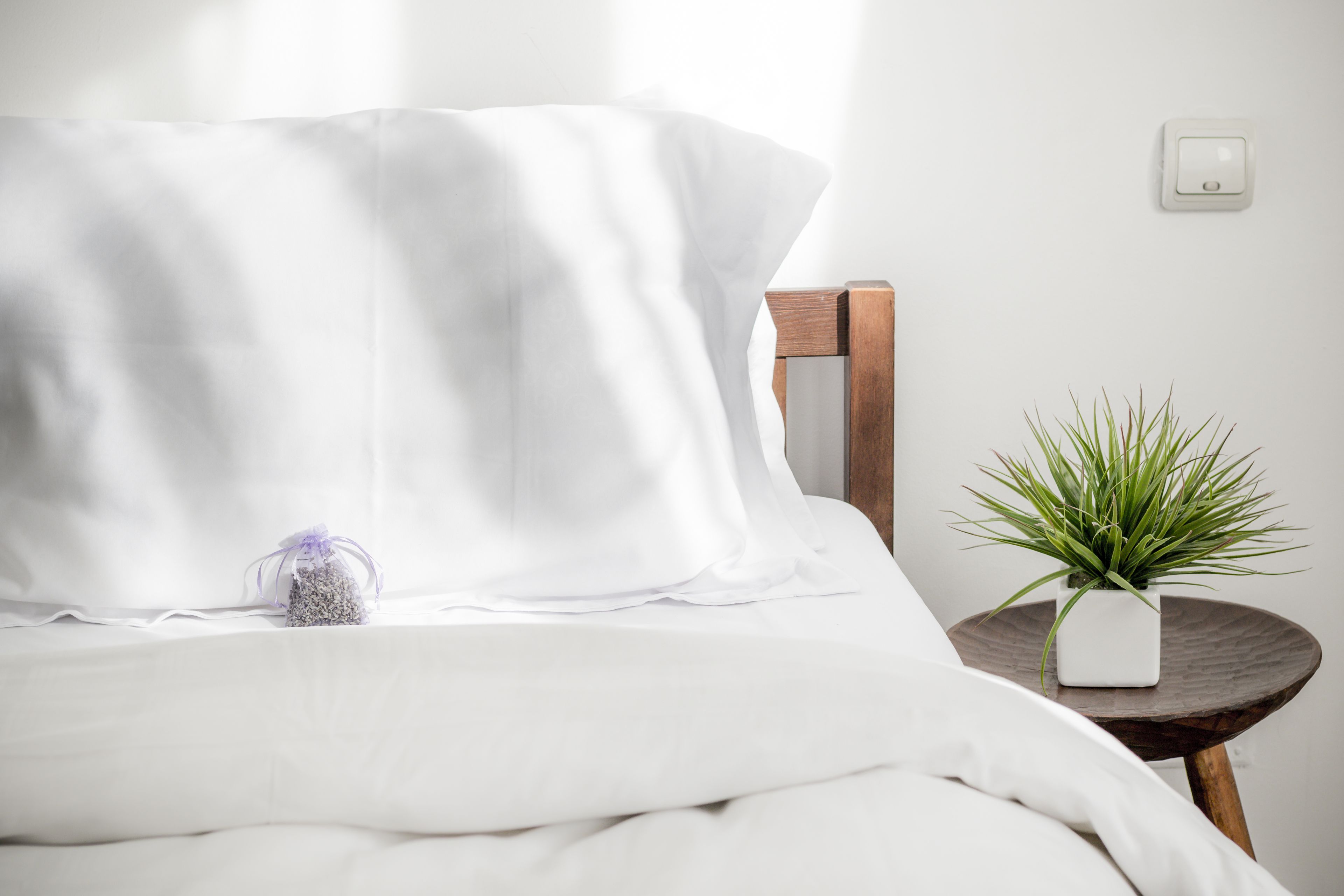 Standard Single Room | Iron/ironing board, free WiFi, bed sheets