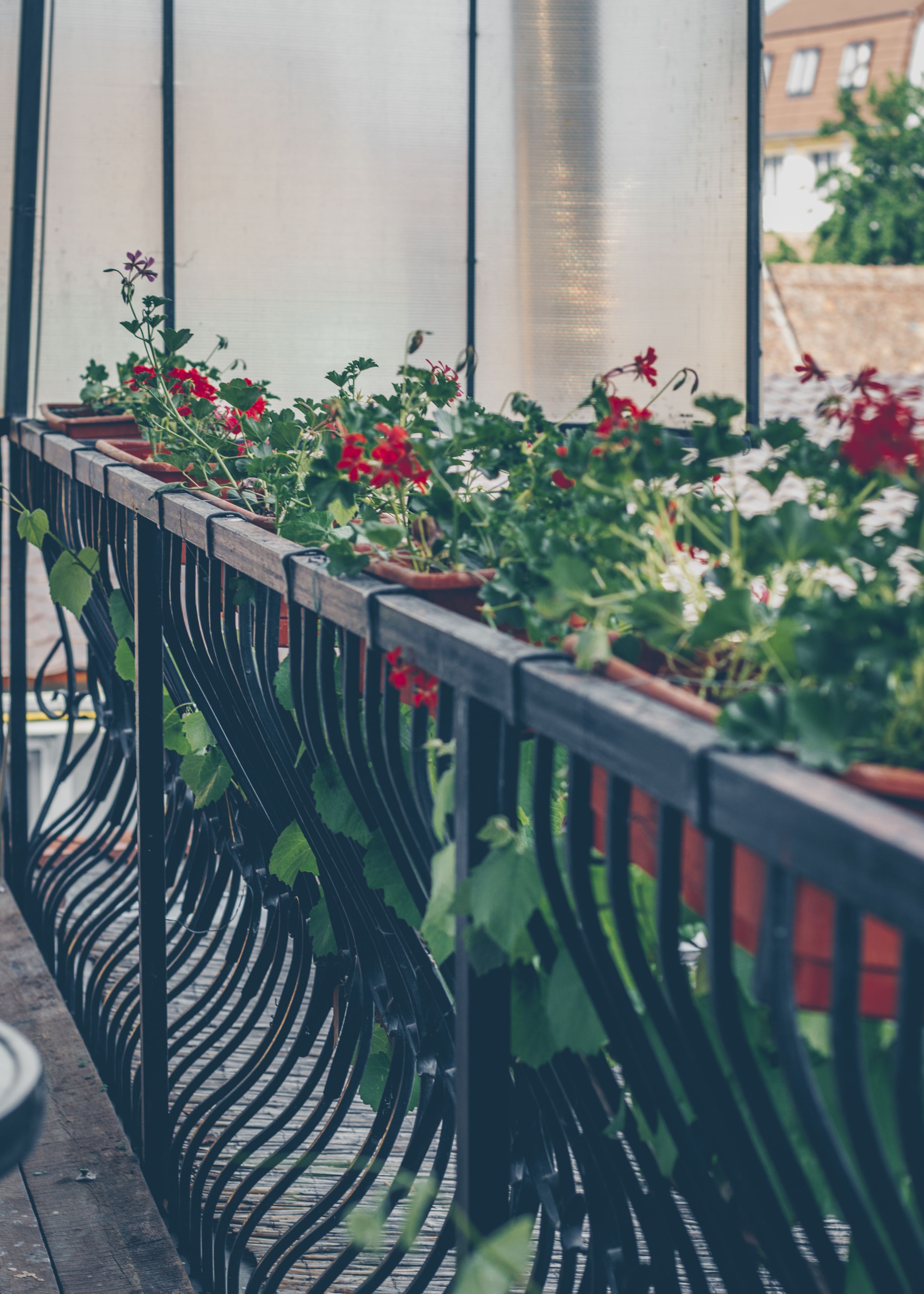 Photo - Gasthof Sara