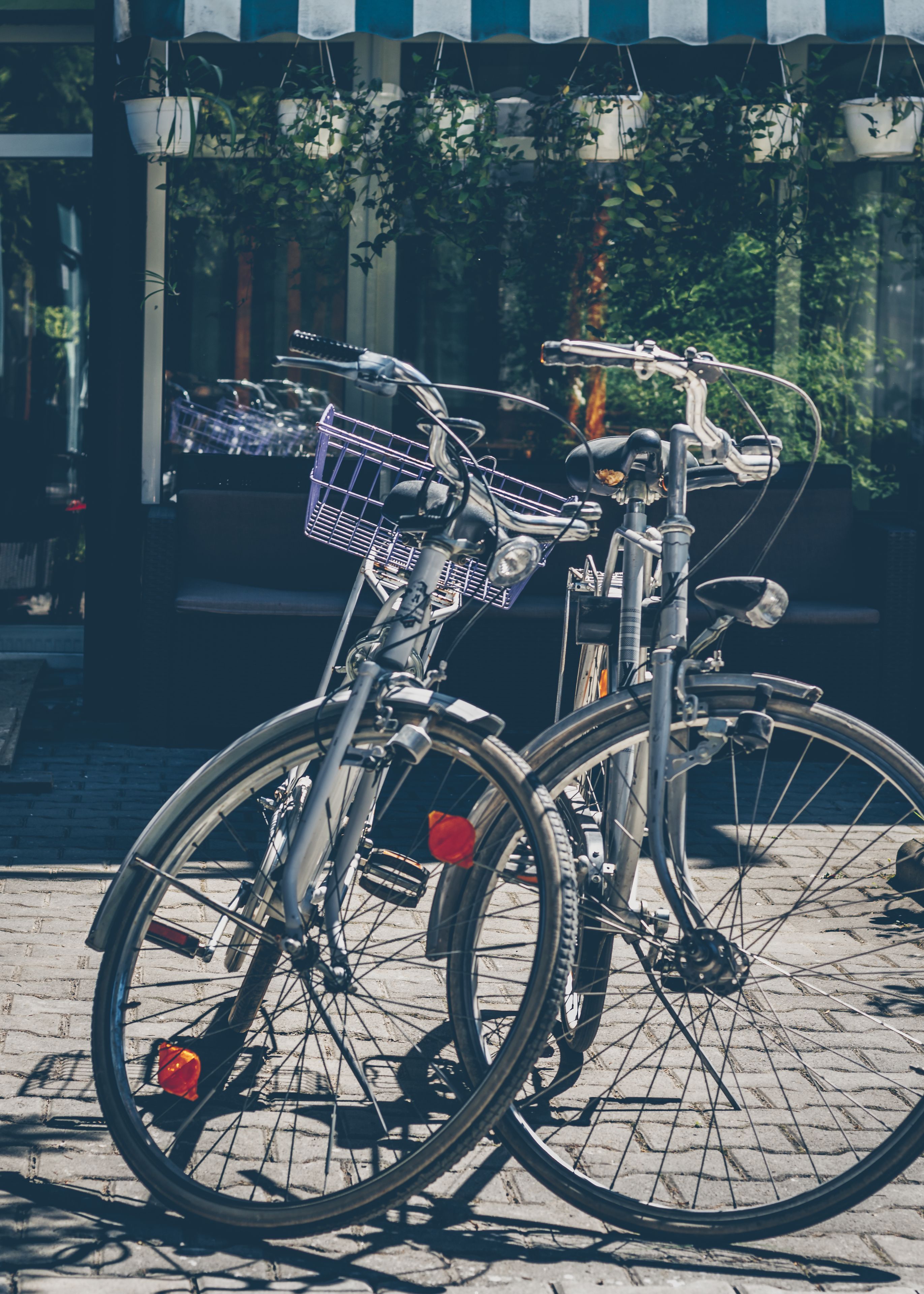 Photo - Gasthof Sara