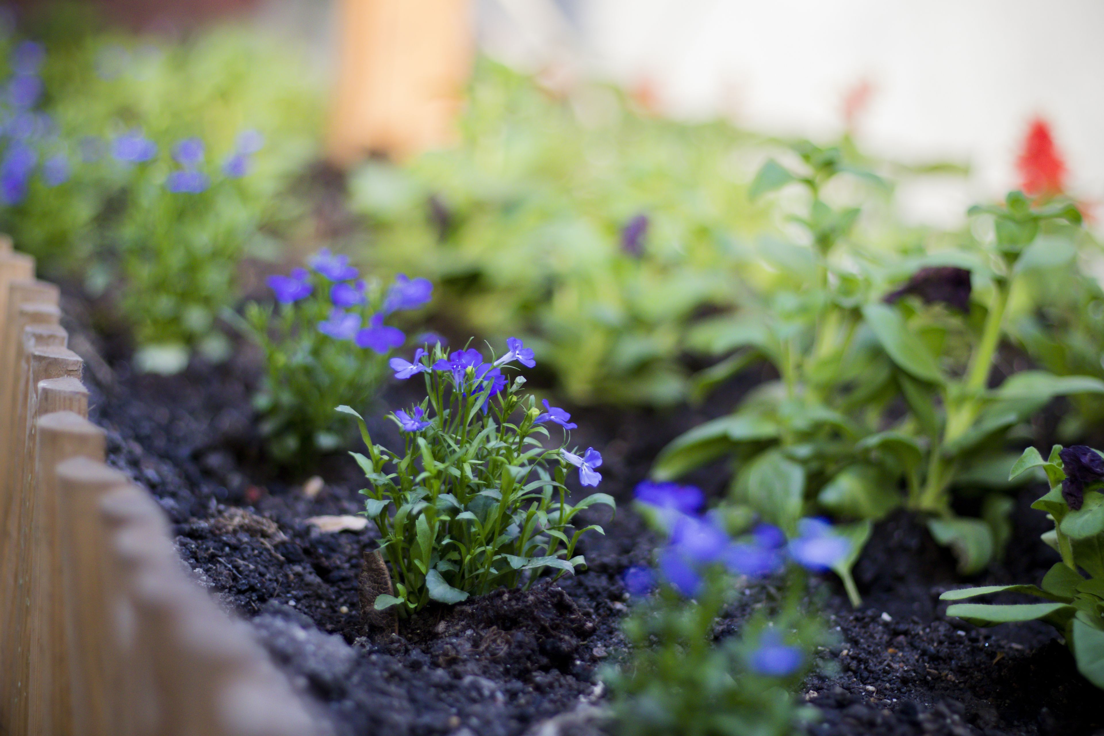 Photo - Gasthof Sara