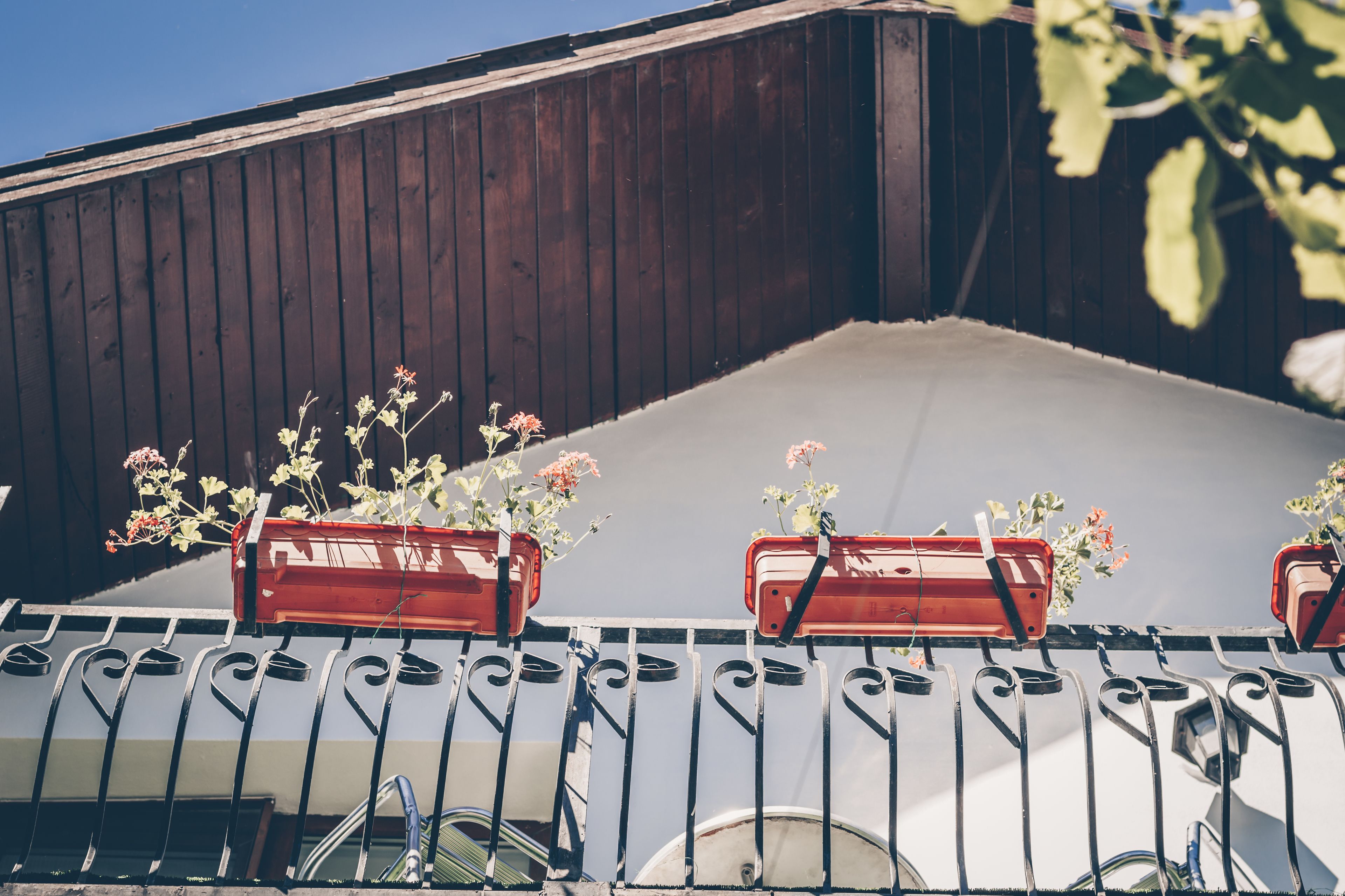 Photo - Gasthof Sara