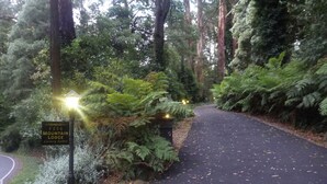 A sign for '1354 Mountain Lodge' indicating luxury suites. - Mountain Lodge (Mount Dandenong)