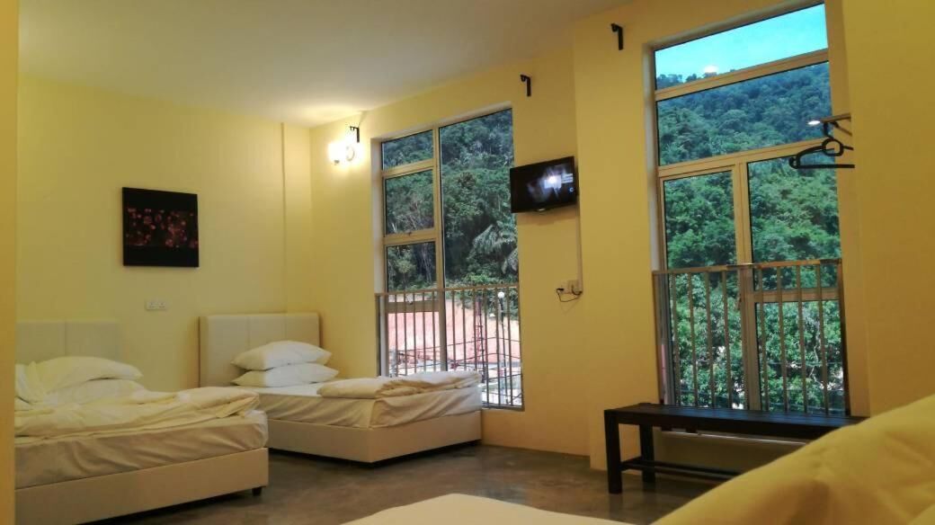 A room with two beds, a television, and large windows with a view of greenery.