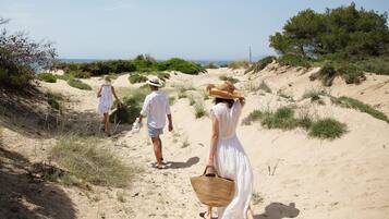 A sandy path leading to the sea with greenery on the sides.