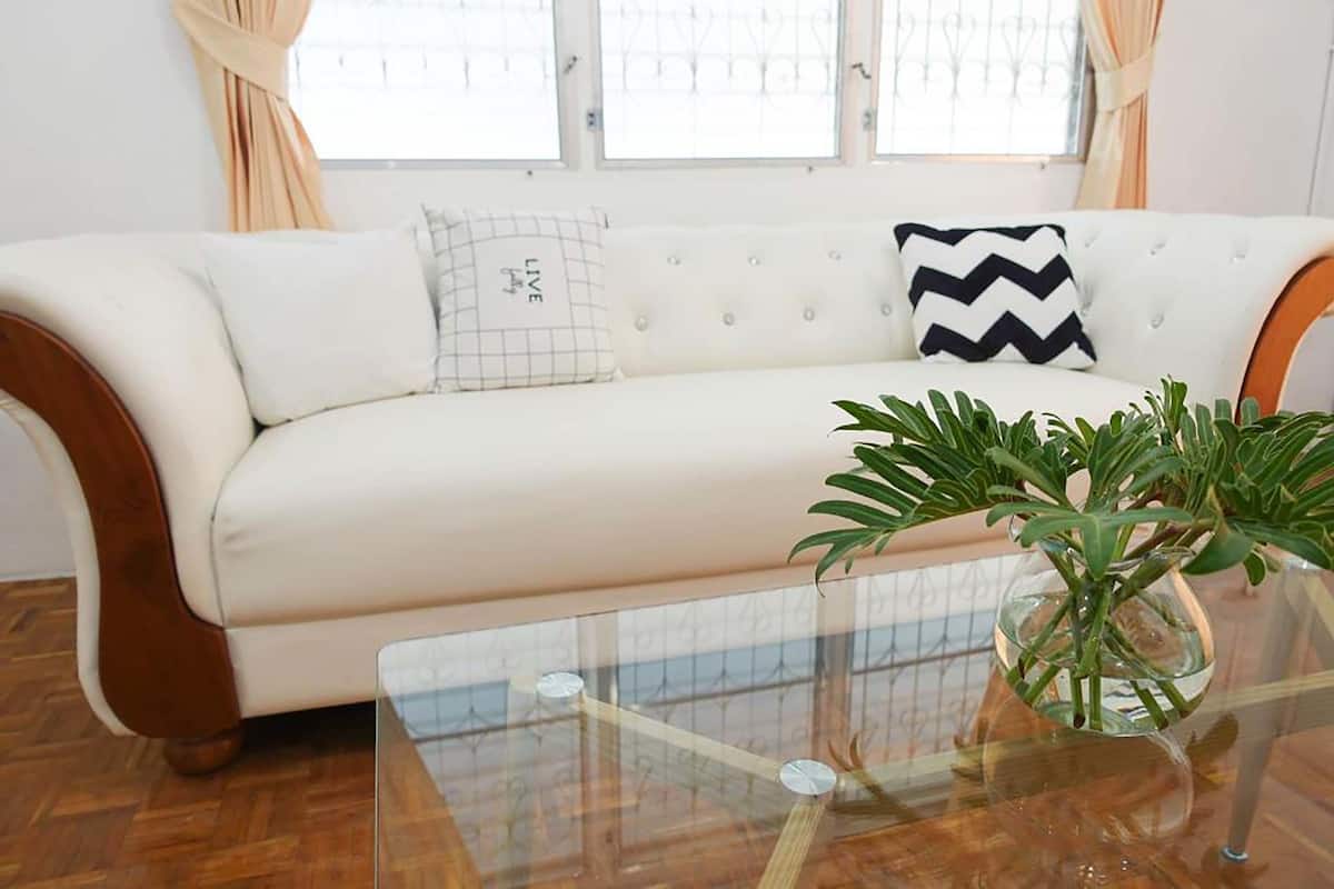 A white sofa with a glass coffee table in front, a potted plant, and a window with curtains.