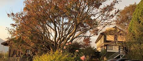 Un área de estacionamiento con autos, un árbol y un edificio con escaleras.