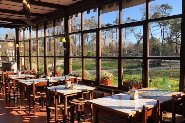 Lunch and dinner served, local cuisine