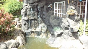 Una cascada de roca con un pequeño estanque en la base, rodeada de rocas y plantas.