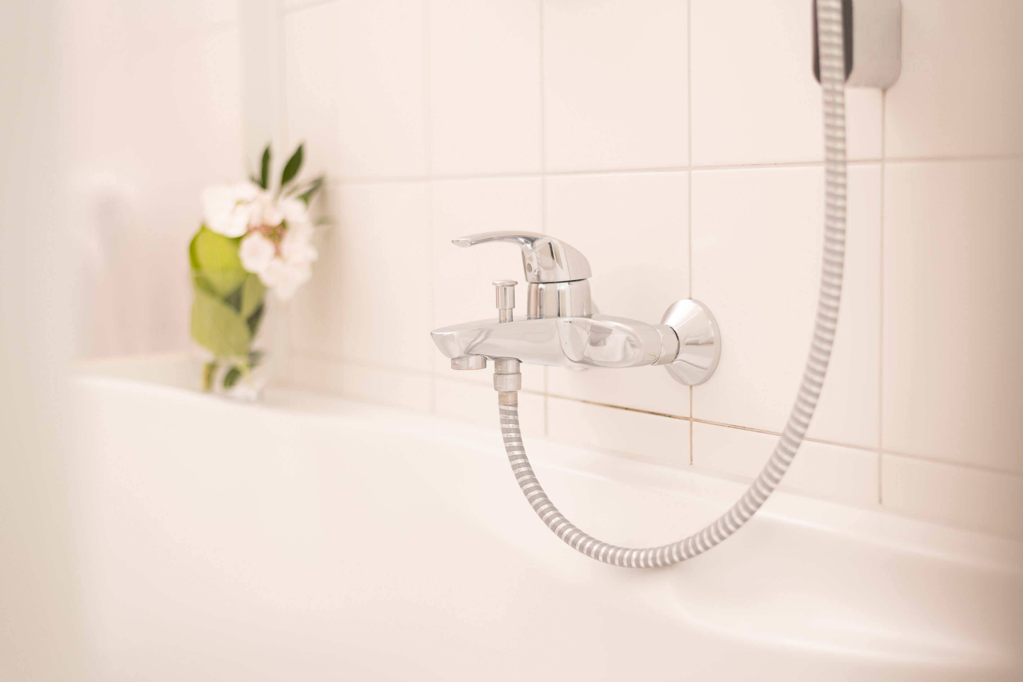 basic single room | bathroom shower