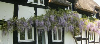 The Moats Bed and Breakfast