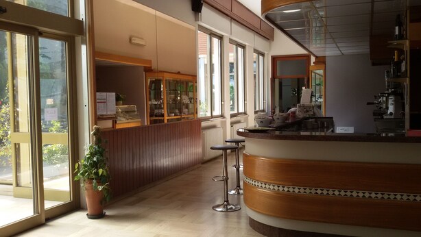 Una zona de bar con mostrador de madera, taburetes y una planta en maceta.