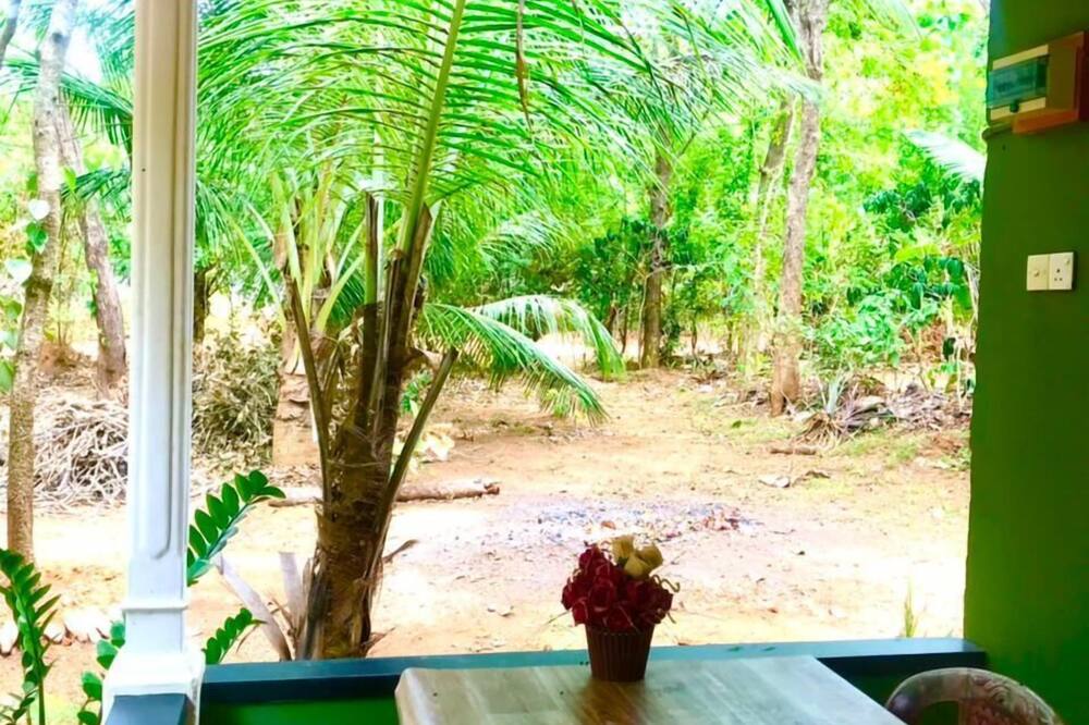 Green Bamboo House