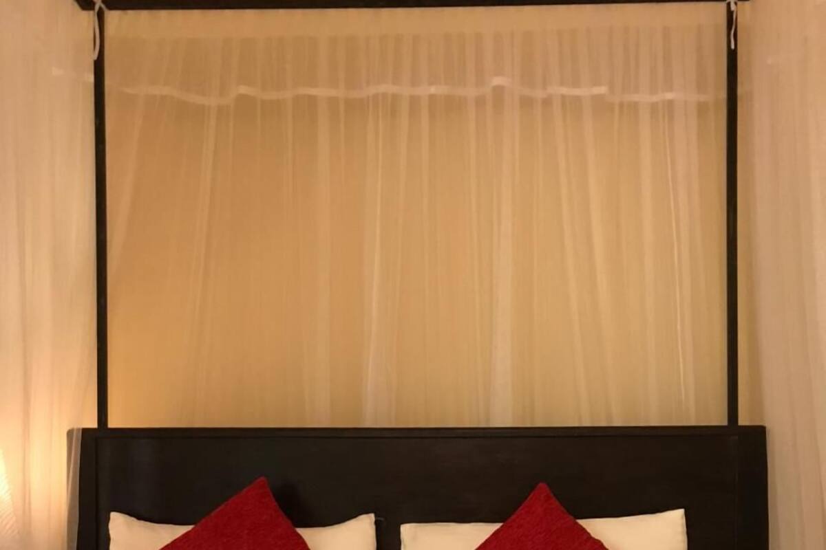 A bed with a canopy, two red pillows, and scattered rose petals.