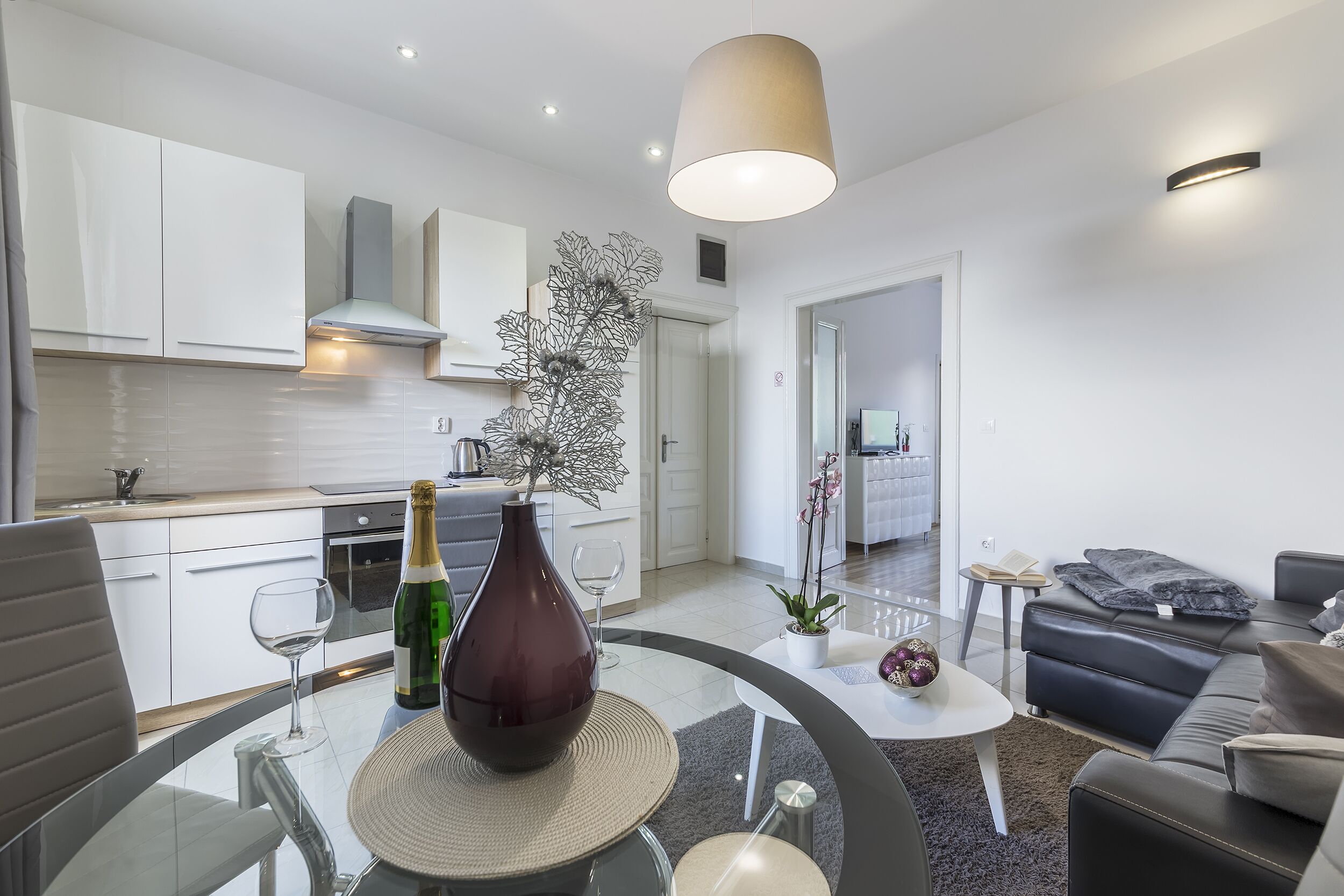 Exclusive Apartment (3) | 起居區 | 平面電 視