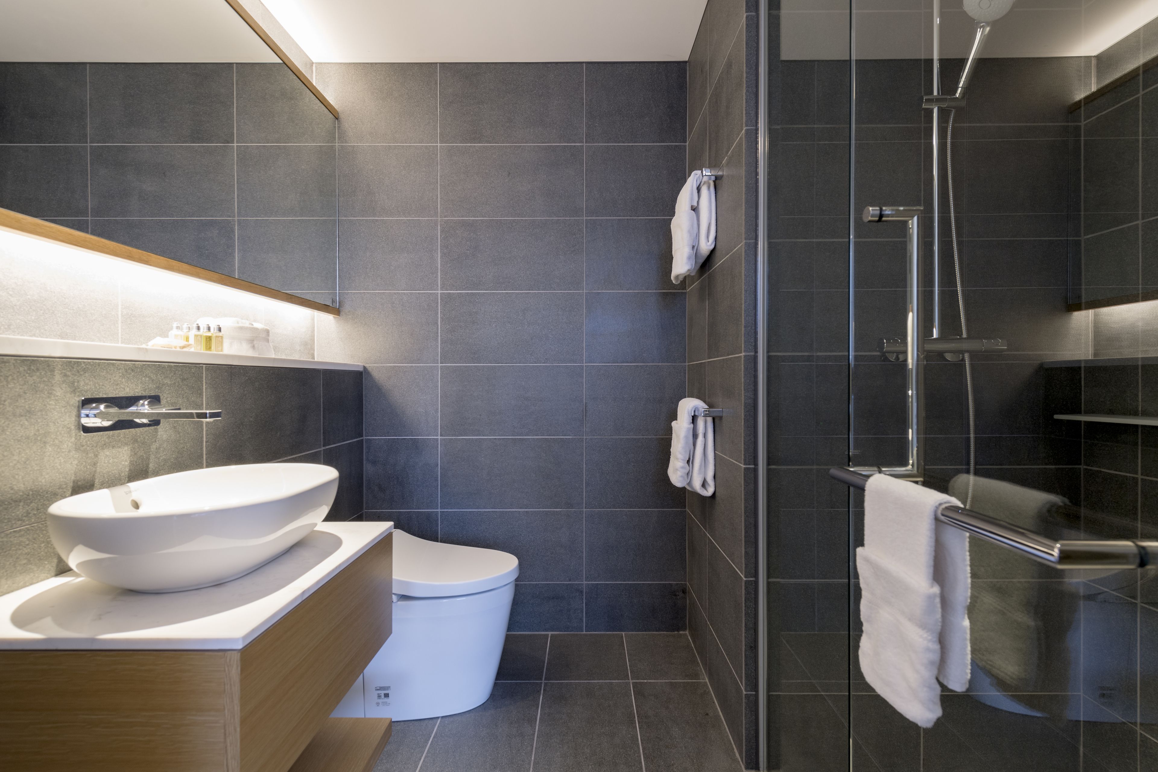 A modern bathroom with a large white sink, a toilet, and a glass-enclosed shower area.