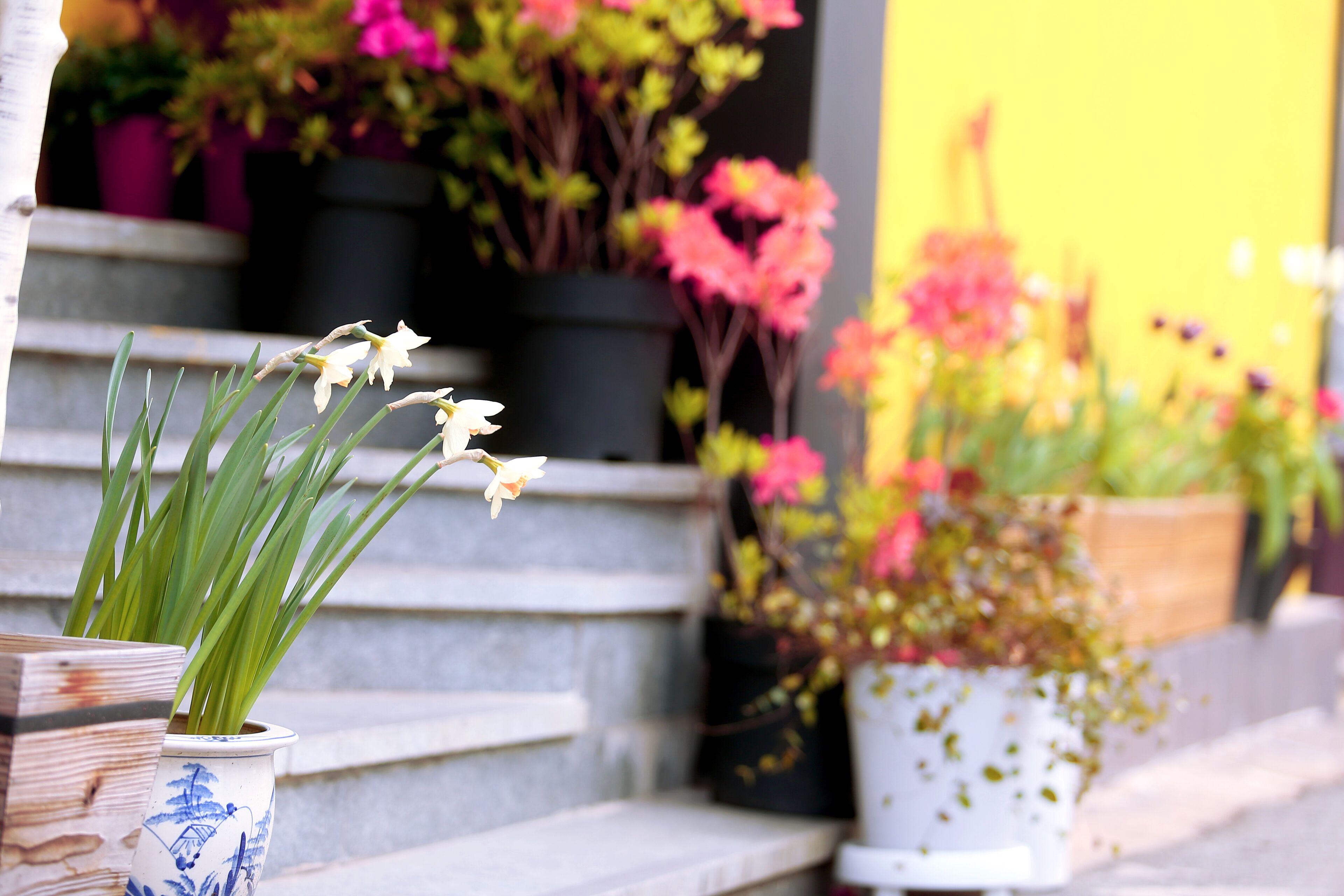 Entrada da propriedade