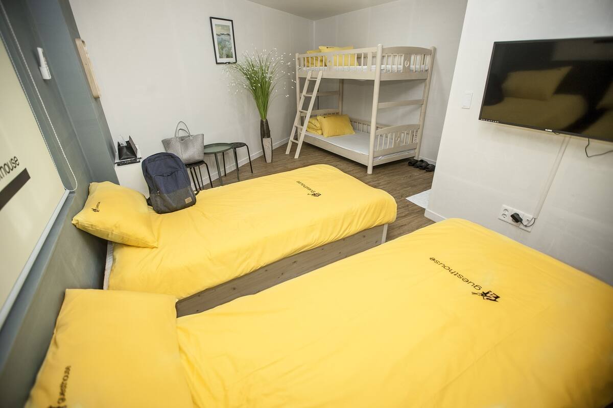 A room with two bunk beds, a desk, a chair, a TV, and a potted plant.