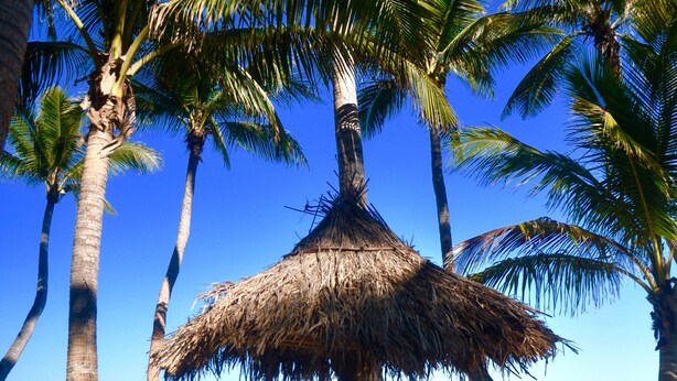 A beach scene with palm trees, a thatched hut, and a wooden lounge chair. - Coconut Beach Resort (Tavewa Island)