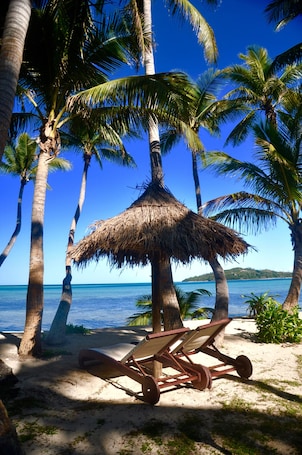 Beach Bungalow | Terrace/patio. Coconut Beach Resort