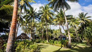 A tropical garden with palm trees, a thatched-roof hut, and a small building with a dark roof. - Coconut Beach Resort (Tavewa Island)