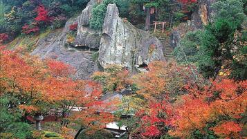 A traditional Japanese garden with rock formations, a stone pathway, and various trees in autumn colors.