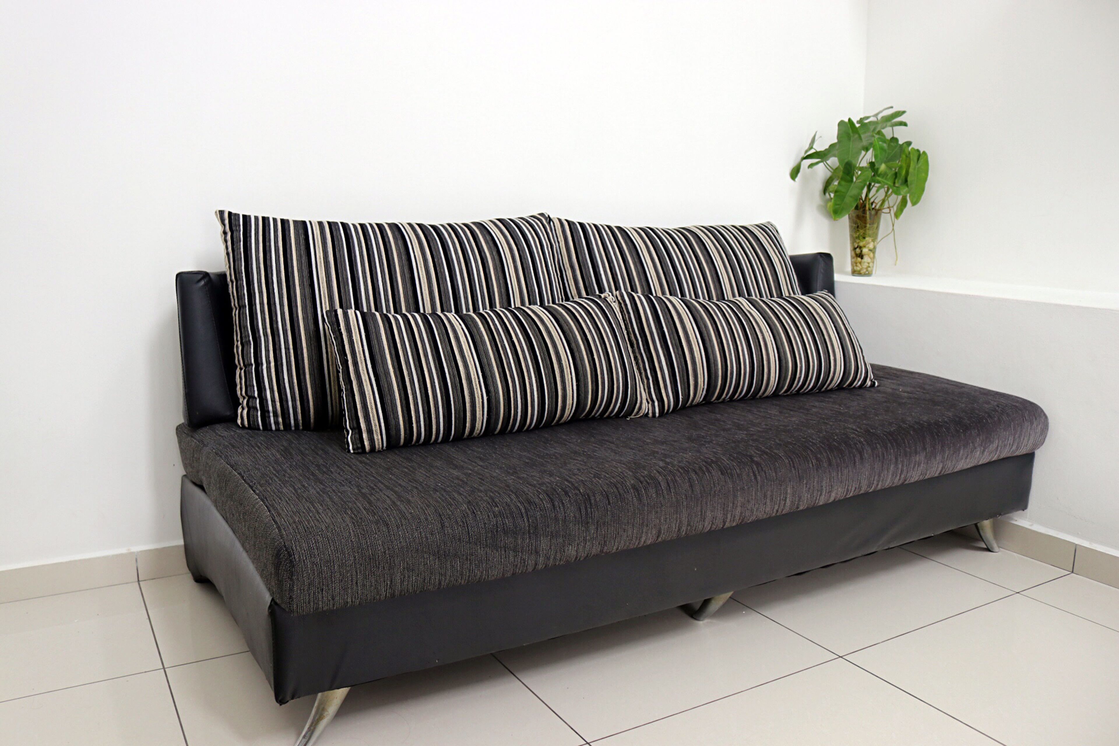 A dark grey sofa with black and white striped cushions against a white wall, with a potted plant to the right.
