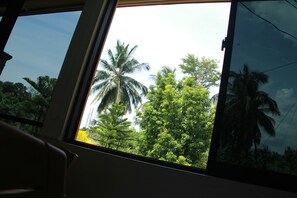 Una ventana con vista a palmeras y follaje exuberante.