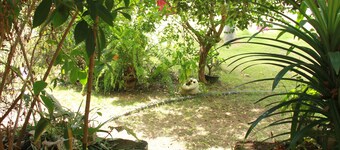 アヌラ ゲスト イン