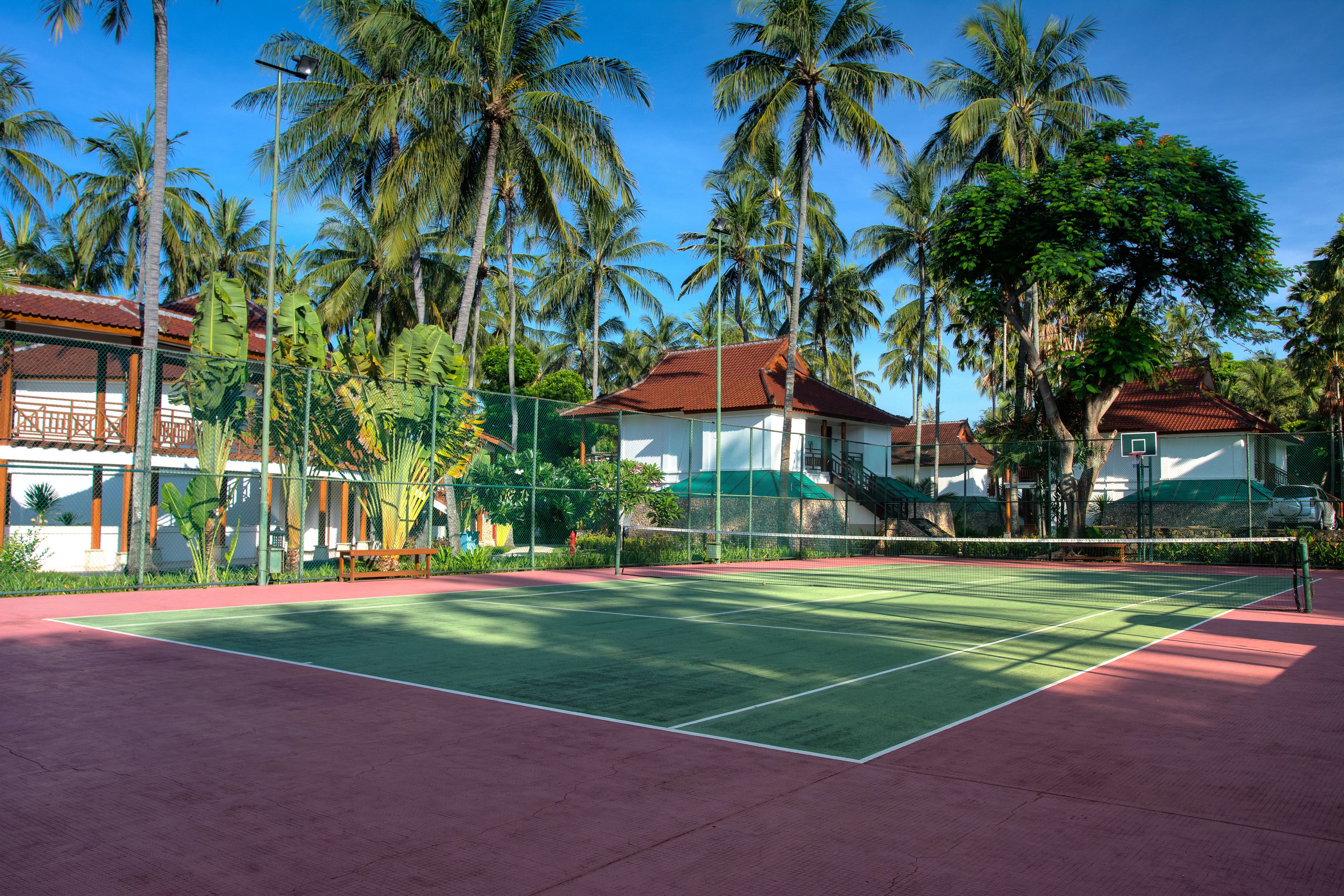 A tennis court with a net, surrounded by a fence and palm trees.