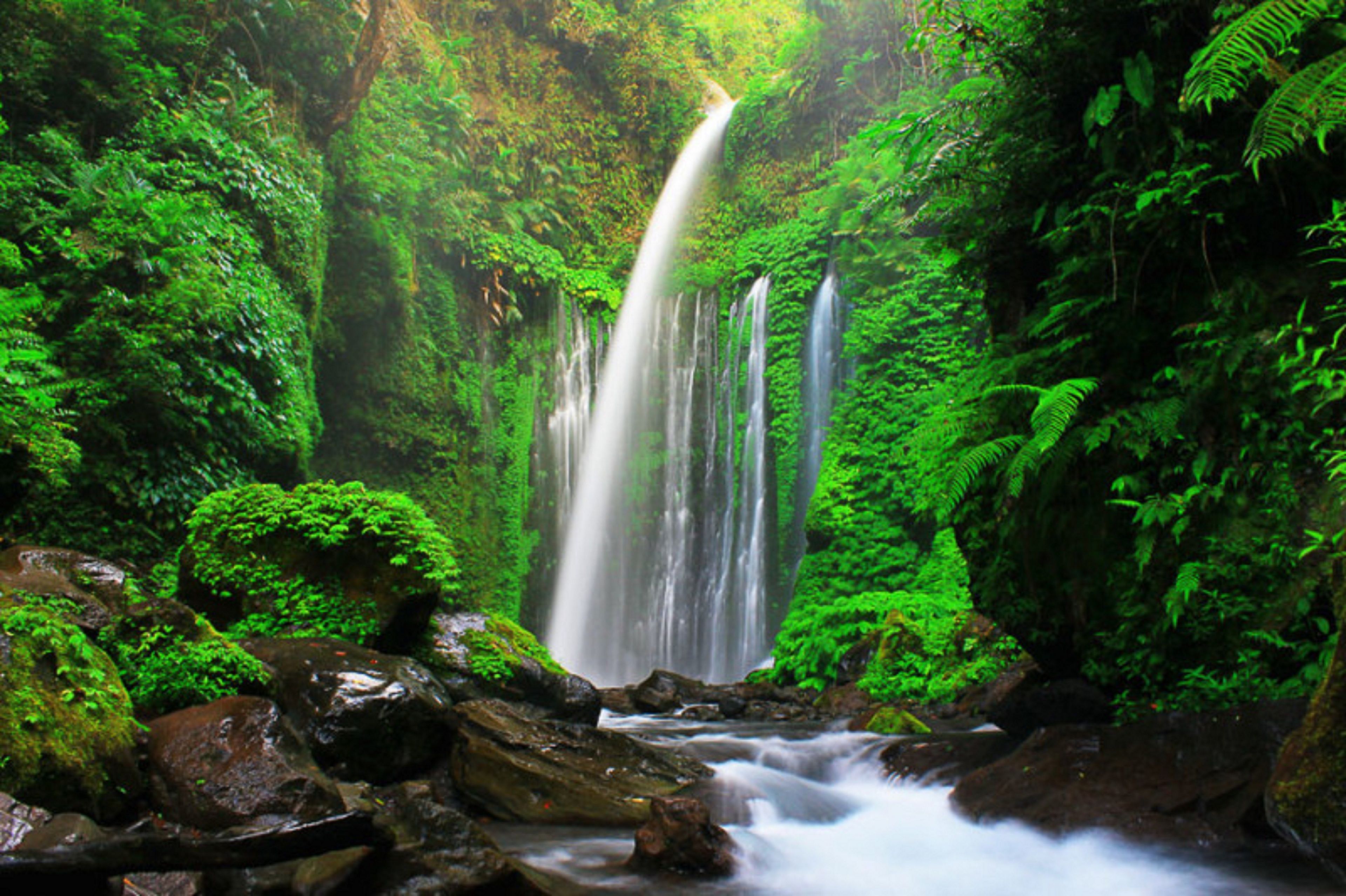 Een waterval omgeven door weelderig groen.