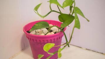 A potted plant with green leaves in a pink pot.