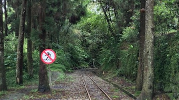 المنطقة المحيطة بالمنشأة